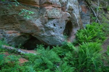Şehir Cesis, Letonya, kırmızı kayalar ve doğa. Yüksek tepe görüntüleyin. 2018