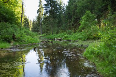 Şehir Cesis, Letonya, kırmızı kayalar ve su. Foodbridge görüntüleyin. 2018