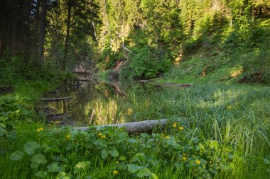 Şehir Cesis, Letonya, kırmızı kayalar ve su. Foodbridge görüntüleyin. 2018