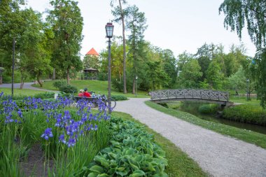 Şehir Cesis, Letonya. Eski şehir ve park. Yeşil ve güneşli gün. 2018