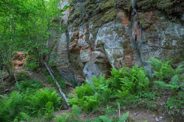 Місто Цесіс Латвії Червоні Скелі Природи Вид Високого Пагорба 2018 — стокове фото