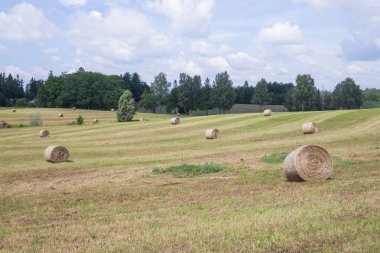 Şehir Araisi, Letonya. Çayır ve saman rulo. Mavi gökyüzü ve güzel. Seyahat fotoğraf 2018.