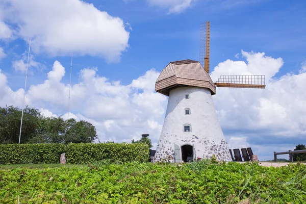 Şehir Araisi, Letonya. Eski yel değirmenleri ve doğa, yeşil çim ve mavi gökyüzü. Seyahat fotoğraf 2018