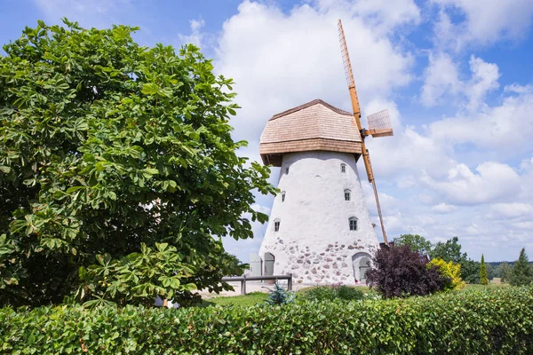 Şehir Araisi, Letonya. Eski yel değirmenleri ve doğa, yeşil çim ve mavi gökyüzü. Seyahat fotoğraf 2018