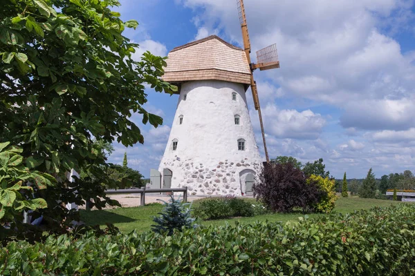 Şehir Araisi, Letonya. Eski yel değirmenleri ve doğa, yeşil çim ve mavi gökyüzü. Seyahat fotoğraf 2018