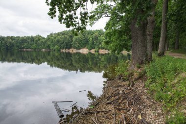 Şehir Koknese, Letonya. Eski nehir ve yeşil ağaçlar. Harabeleri ve yansıma. Doğa ve gökyüzü. Seyahat fotoğraf 2018