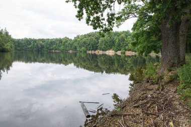 Şehir Koknese, Letonya. Eski nehir ve yeşil ağaçlar. Harabeleri ve yansıma. Doğa ve gökyüzü. Seyahat fotoğraf 2018