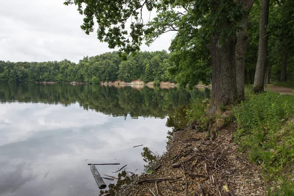 Şehir Koknese, Letonya. Eski nehir ve yeşil ağaçlar. Harabeleri ve yansıma. Doğa ve gökyüzü. Seyahat fotoğraf 2018