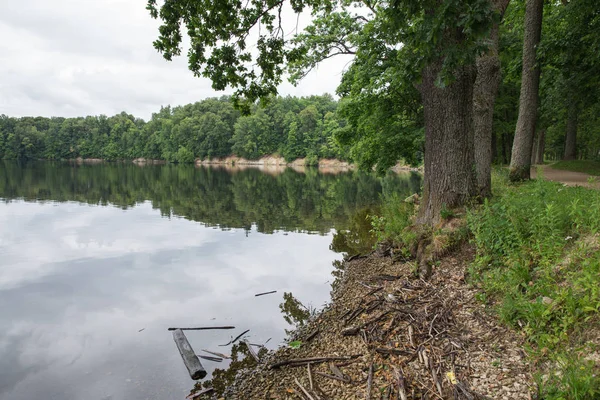 Şehir Koknese, Letonya. Eski nehir ve yeşil ağaçlar. Harabeleri ve yansıma. Doğa ve gökyüzü. Seyahat fotoğraf 2018