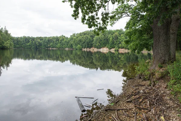 Şehir Koknese, Letonya. Eski nehir ve yeşil ağaçlar. Harabeleri ve yansıma. Doğa ve gökyüzü. Seyahat fotoğraf 2018