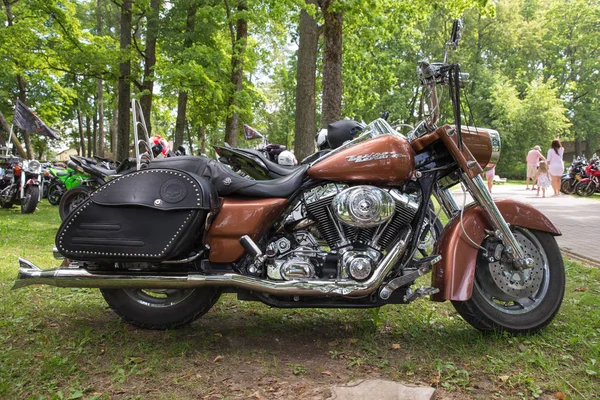 Staden Cesis Lettland Motorcykel Utställning City Park Folk Cyklar Och — Stockfoto