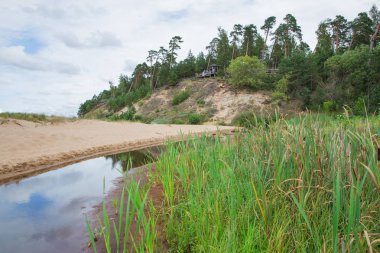 Şehir Saulkrasti, Letonya. Kayalar ve nehir, deniz. Yeşil otlar, ağaçlar ve güneş. Doğa, Baltık Denizi. Seyahat fotoğraf. Güzel Letonya doğa. 2018
