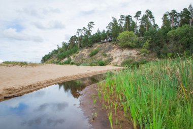 Şehir Saulkrasti, Letonya. Kayalar ve nehir, deniz. Yeşil otlar, ağaçlar ve güneş. Doğa, Baltık Denizi. Seyahat fotoğraf. Güzel Letonya doğa. 2018