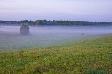 Kraslava City, Letonya. Sabah güneş ışığı, çayır, ağaçlar ve sis. Doğa fotoğraf. Seyahat fotoğraf 2018.