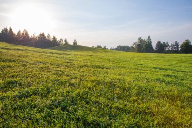 Kraslava City, Letonya. Güneş ışığı, çayır ve ağaçlar ile sabah erken. Doğa fotoğraf. Seyahat fotoğraf 2018.