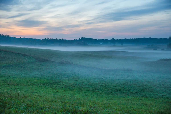 Місто Краслави Латвія Рано Вранці Сонячного Світла Луг Дерева Туман — стокове фото