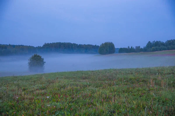 Місто Краслави Латвія Рано Вранці Сонячного Світла Луг Дерева Туман — стокове фото