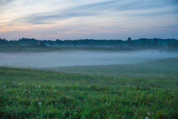 Місто Краслави Латвія Рано Вранці Сонячного Світла Луг Дерева Туман — стокове фото