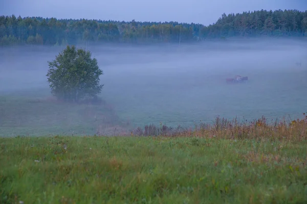 Staden Kraslava Lettland Tidig Morgon Med Solljus Äng Träd Och — Stockfoto