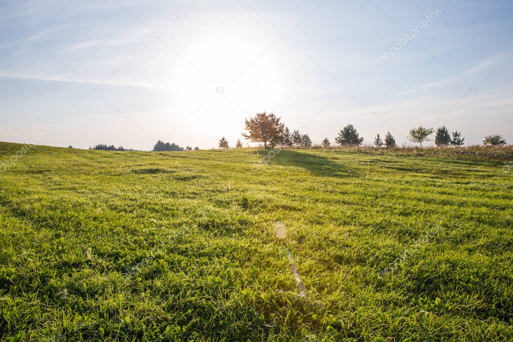 City of Kraslava, Latvia. Early morning with sunlight, meadow and trees. Nature photo. Travel photo 2018.