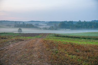 Kraslava City, Letonya. Sabah güneş ışığı, çayır, ağaçlar ve sis. Doğa fotoğraf. Seyahat fotoğraf 2018.