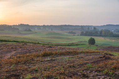 Kraslava City, Letonya. Sabah güneş ışığı, çayır, ağaçlar ve sis. Doğa fotoğraf. Seyahat fotoğraf 2018.