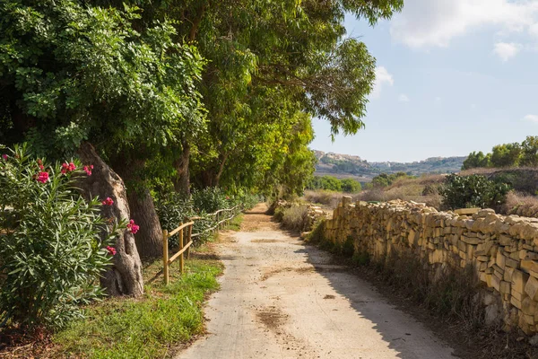 Staden Valleta Malta Europa Stadens Gator Och Grön Natur Gräs — Stockfoto