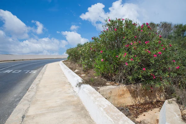 Staden Valleta Malta Europa City Street Och Urban Naturen Och — Stockfoto