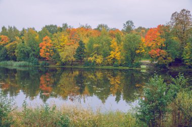 City Riga, Letonya, sonbahar. Jugla göl ve park, sarı ağaçlar ve bırakır. Seyahat doğa fotoğraf 2018.