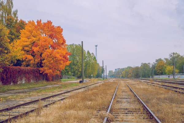 Città Riga Lettonia Pista Metallica Urbano Autunno Mattina Foto Viaggio — Foto Stock