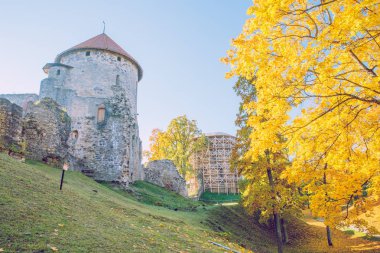 Şehir Cesis, Letonya. Eski Casttle Park'ta sonbahar. Sarı yapraklar, kalıntıları ve mimarisi. Tarihi binalar. Seyahat fotoğraf 2018.