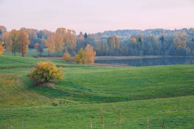Şehir Korneti, Letonya. Ağaçlar ve çayır, sonbahar ve güneşli bir gün. Seyahat doğa fotoğraf 2018.