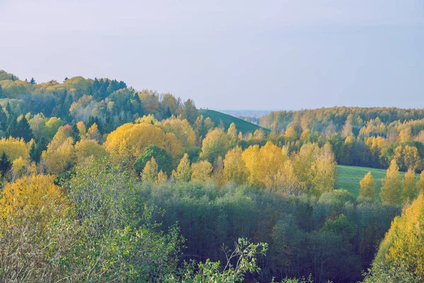 Stad Korneti Letland Bomen Sky Herfst Zonnige Dag Reizen Natuur — Stockfoto