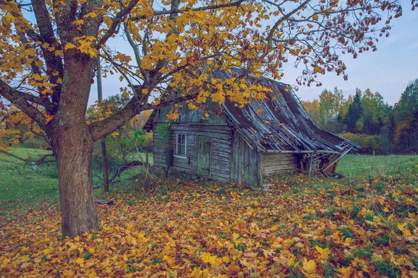 Miasto Korneti Łotwa Stary Dom Jesień Drzewa Liści Fotografia Natury — Zdjęcie stockowe
