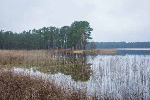 Stadt Carnikava Lettland See Herbst Wasser Und Bäume Reisefoto 2018 — Stockfoto