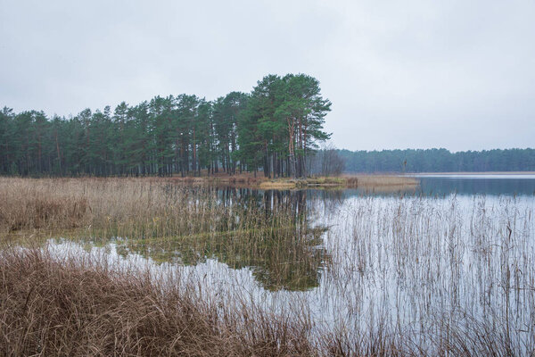 City Carnikava, Latvia. Lake at autumn, water and trees. Travel photo 2018.