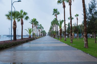 Şehir Paphos, Kıbrıs. Plaj ve masmavi bir deniz. Seyahat fotoğraf 2018, Aralık. Manzara ve doğa.