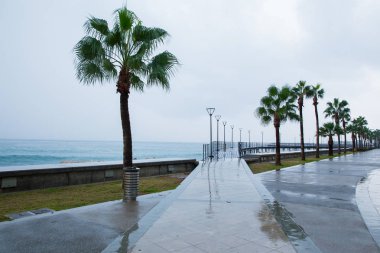 Şehir Paphos, Kıbrıs. Plaj ve masmavi bir deniz. Seyahat fotoğraf 2018, Aralık. Manzara ve doğa.