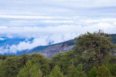 Şehir Paphoes, Kıbrıs. Büyük tepeler ve ağaçlar. Seyahat fotoğraf 2018, Aralık.
