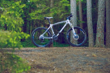 Şehir Cesis, Letonya. Beyaz bisiklet ahşap, ağaçlar ve doğa için. Seyahat fotoğraf 2015