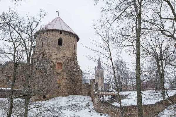 Şehir Cesis, Letonya. Eski kasaba kaleler, park ve kentsel. Kış ve kar. Seyahat fotoğraf 2018, 31. Aralık.