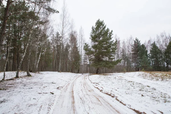 City Carnikava Latvia Frozenwood Snow Trees Cold Weather Travel Photo — Stock Photo, Image