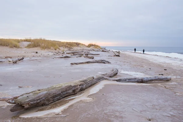 City Carnikava, Latvia. Frozen baltic sea and snow. Peoples and cold weather. Travel photo 2019. 06. January