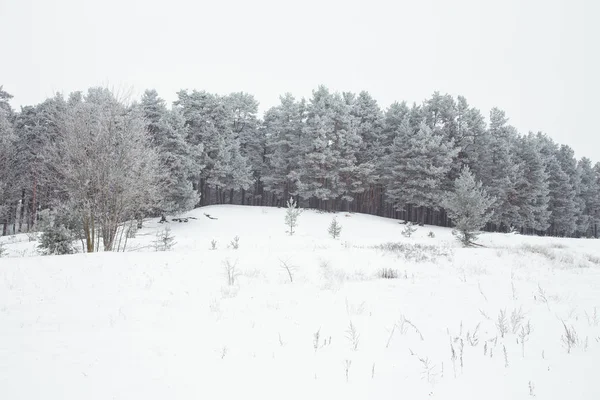 City Riga, Latvia. White and cold wood. Many snow at winter 2019. Travel photo.