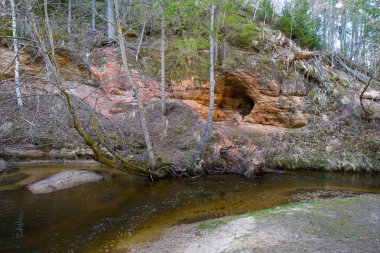 Kırmızı kayalıklar ve Kumada Nehri. Ağaçlar ve su. Seyahat fotoğrafı 2019.