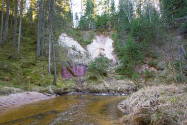 Beyaz kayalıklar ve Kumada nehri. Ağaçlar ve su. Seyahat fotoğrafı 201