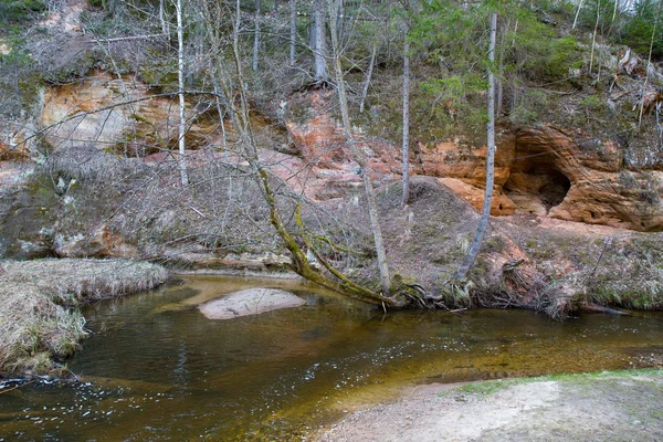 Acantilados rojos y el río Kumada. Árboles y agua. Foto de viaje 2019 . — Foto de Stock