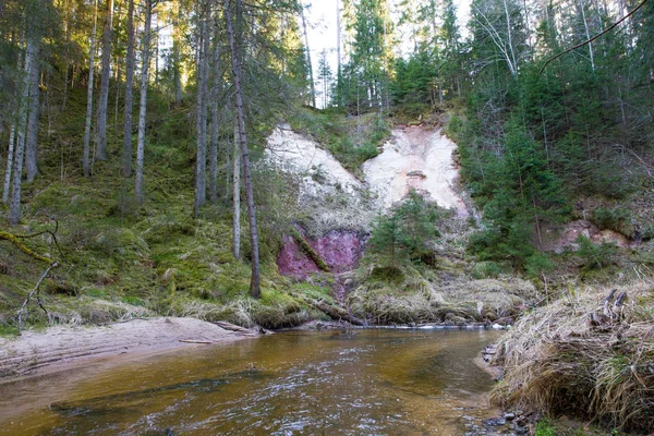 Білі скелі та річка Кумада. Дерева і вода. Travel photo 201 — стокове фото