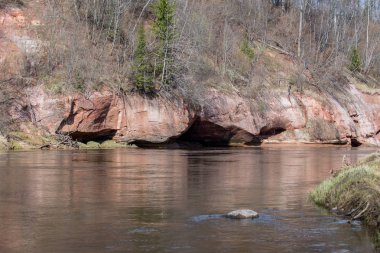  Kırmızı kayalar ve Gauja Nehri. İlkbaharda doğa ve güneş. 2019.
