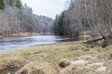 Su ve dalgalar, Gauja Nehri. İlkbaharda doğa ve güneş. 2019